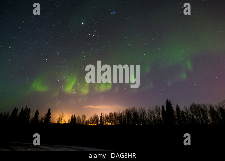 Aurora und Sternenhimmel mit Jupiter über Wald Silhouette, Kattfjordeidet, Kvaloeya, Troms, Norwegen Stockfoto