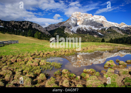 Blick vom Zwischensprint auf Hohe Gaisl-Gruppe mit Spiegelbild am Bergsee, Italien, Südtirol, Dolomiten Stockfoto