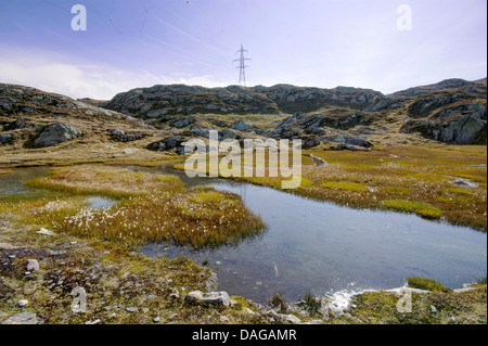 Hochspannungsleitung durch ein Hochmoor-Landschaft im Bereich Grimselpass, Goms, Oberwallis, Wallis, Schweiz Stockfoto