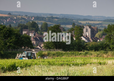 Weinberg Schlepper Spritzen Reben in einem Cote de Beaune Vinyard. Cheilly Les Marange im Hintergrund. Stockfoto