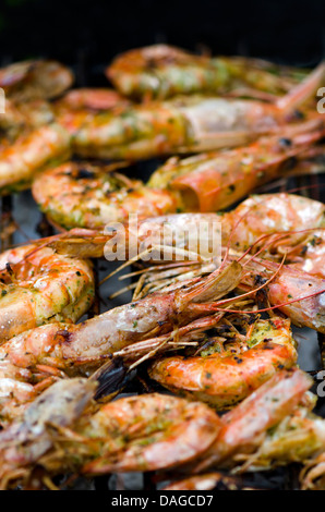 Gegrillter King prawn Köpfe auf dem Barbecue-Grill. Spanien. Stockfoto