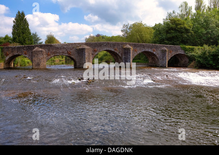 Bickleigh, Devon, England, Vereinigtes Königreich Stockfoto