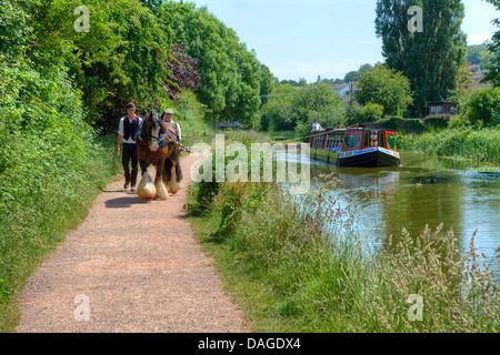 Pferdekutsche Lastkahn auf der Great Western Canal, Tiverton, Devon, England, Vereinigtes Königreich Stockfoto