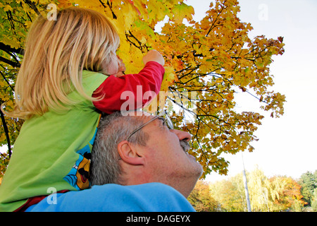 Vater seinen Sohn auf seinen Schultern zu tragen, um ein paar Blätter, Deutschland Stockfoto