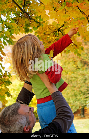 Vater hob seinen Sohn abholen einige Blätter, Deutschland Stockfoto