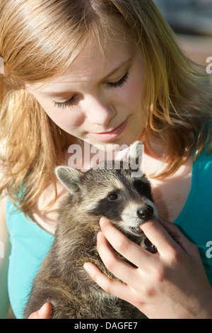 gemeinsamen Waschbär (Procyon Lotor), Handraised Waschbär saugen am Finger eines Mädchens, Deutschland Stockfoto