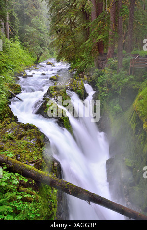 Sol Duc fällt. Olympic Nationalpark, Washington, USA. Stockfoto