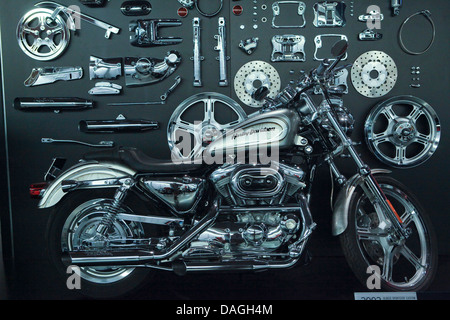 Eine 2002 XL883C Sportster custom OHV V-Twin Harley-Davidson Motorrad Stockfoto