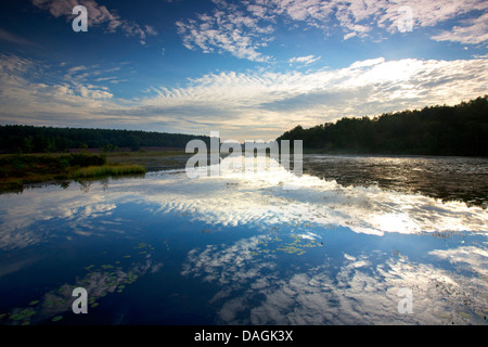 Wolken in einem See von de Teut Natur Spiegelung reservieren, Belgien, Limburg, Nationalpark Hoge Kempen Stockfoto