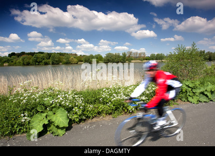 Biker am Deich entlang Fluss Schelde, Belgien, Scheldevallei Stockfoto