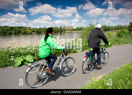 Biker am Deich entlang Fluss Schelde, Belgien, Scheldevallei Stockfoto