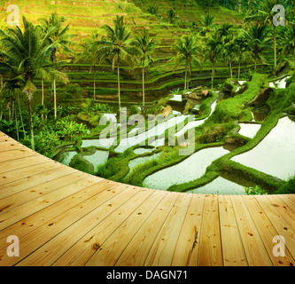 Hölzerne Plattform neben Terrasse Reisfelder im Sonnenaufgang am Morgen, Ubud, Bali, Indonesien Stockfoto