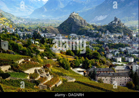 zeigen Sie nach Sion mit Weinbergen und Burgen, Schweiz, Wallis, Sion an Stockfoto