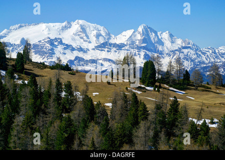 Blick von Armentara Alp zur Marmolada und Sas Dla Crusc, Italien, Südtirol, Dolomiten Stockfoto