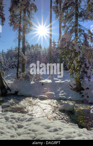 Creek und verschneiten Wald in die Sonne, Deutschland, Bayern, Pfaffenwinkel Stockfoto