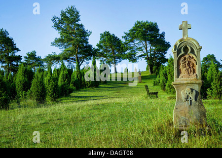 Bildstöcke in Wiese mit Wacholder, Deutschland, Rheinland-Pfalz, Eifel, Alendorf Stockfoto