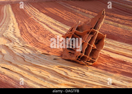 Felsformationen in den North Coyote Buttes, Teil der Vermilion Cliffs National Monument. Auch bekannt als The Boneyard Stockfoto