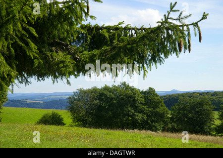 Eifel-Landschaft, Nuerburg im Hintergrund, Deutschland, Rheinland-Pfalz, Hohe Eifel, Leudersdorf Stockfoto