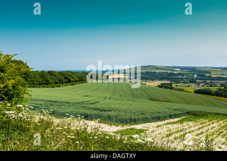 Ansicht der South Downs aus nahe Pulborough West Sussex England Stockfoto