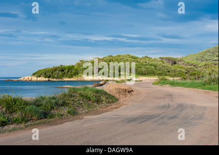 Eine kurvenreiche Straße an der sonnigen Küste von Süd-Korsika Stockfoto