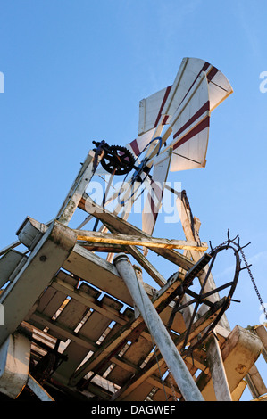 Ein Blick auf die Pfauentaube und damit verbundenen Mechanismus auf Thurne Mill, Norfolk, England, Vereinigtes Königreich. Stockfoto