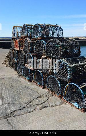 Hummer-Töpfe im Hafen von Beadnell an St Oswald Weise lange Entfernung Fußweg Northumberland Küste Stockfoto