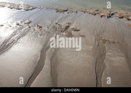 Wattenmeer bei Ebbe, Belgien, Nieuwpoort Stockfoto