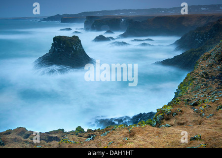Felsenküste, Island, Snaefellsness, Arnarstapi Stockfoto