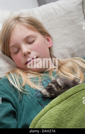gemeinsamen Waschbär (Procyon Lotor), tierische Baby und Mädchen schläft zusammen unter einer Decke, Deutschland Stockfoto