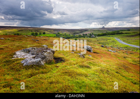 Heide und Gräser in voller Blüte und RAF Raketenstarts in sanften Landschaft des North York Moors National Park. Stockfoto