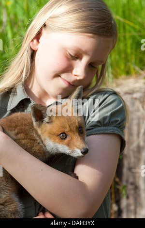 Rotfuchs (Vulpes Vulpes), Mädchen mit einem verwaisten auf dem Arm wird Upbrought von hand, Deutschland Stockfoto