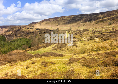 Blick von der North York Moors National Park zeigt die Hügel, onduliert und schroffe Landschaft in der Nähe von Levisham, Yorkshire, Großbritannien. Stockfoto