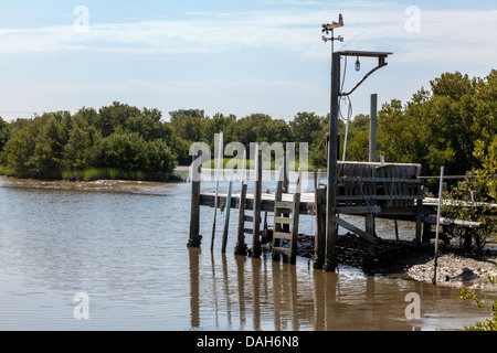 Holzboot andocken oder Pier wharf mit Leitern in Cedar Key, Florida bei Ebbe. Stockfoto