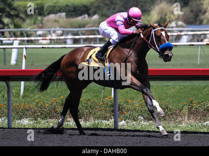 Inglewood, Kalifornien, USA. 13. Juli 2013. Sie ist A Tiger mit Frank Alvarado an Bord gewinnt den 69. Ablauf der Landaluce bei Betfair Hollywood Park in Inglewood, Kalifornien am Juli 13,2013. Bildnachweis: Zoe Metz/Eclipse Sportswire/Eclipse/ZUMAPRESS.com/Alamy Live-Nachrichten Stockfoto