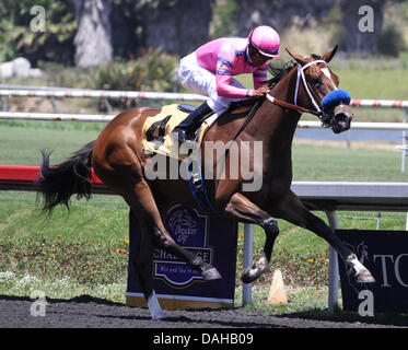 Inglewood, Kalifornien, USA. 13. Juli 2013. Sie ist A Tiger mit Frank Alvarado an Bord gewinnt den 69. Ablauf der Landaluce bei Betfair Hollywood Park in Inglewood, Kalifornien am Juli 13,2013. Bildnachweis: Zoe Metz/Eclipse Sportswire/Eclipse/ZUMAPRESS.com/Alamy Live-Nachrichten Stockfoto