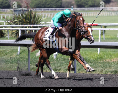 Inglewood, Kalifornien, USA. 13. Juli 2013. Alpine Glück mit Gary Stevens an Bord gewinnt 74. Rennen der Hollywood Juvenile Meisterschaft im Betfair Hollywood Park in Inglewood, Kalifornien im Juli 13,2013. Bildnachweis: Zoe Metz/Eclipse Sportswire/Eclipse/ZUMAPRESS.com/Alamy Live-Nachrichten Stockfoto