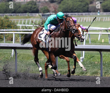 Inglewood, Kalifornien, USA. 13. Juli 2013. Alpine Glück mit Gary Stevens an Bord gewinnt 74. Rennen der Hollywood Juvenile Meisterschaft im Betfair Hollywood Park in Inglewood, Kalifornien im Juli 13,2013. Bildnachweis: Zoe Metz/Eclipse Sportswire/Eclipse/ZUMAPRESS.com/Alamy Live-Nachrichten Stockfoto