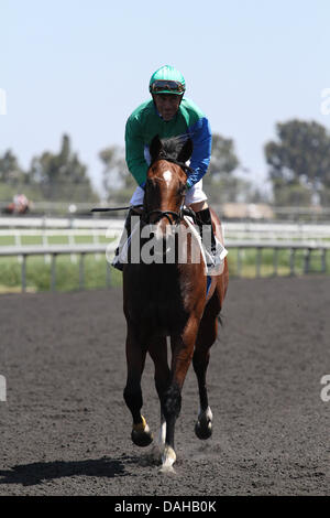 Inglewood, Kalifornien, USA. 13. Juli 2013. Alpine Glück mit Gary Stevens an Bord gewinnt 74. Rennen der Hollywood Juvenile Meisterschaft im Betfair Hollywood Park in Inglewood, Kalifornien im Juli 13,2013. Bildnachweis: Zoe Metz/Eclipse Sportswire/Eclipse/ZUMAPRESS.com/Alamy Live-Nachrichten Stockfoto