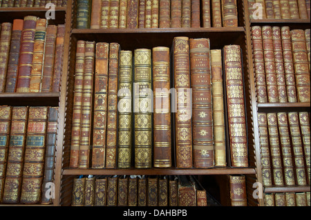 Antiquarische Bücher einer Bibliothek Stockfoto