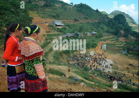 Hmong Frauen in tribal Kostüm mit Blick auf die Wasserbüffel zu vermarkten, können Cau, Vietnam Stockfoto