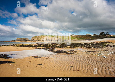 Blick nach Osten über Annestown Strang in der Copper Coast Geopark, Grafschaft Waterford Stockfoto