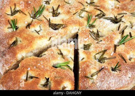 Italienische Rosmarin Focaccia-Brot. Stockfoto