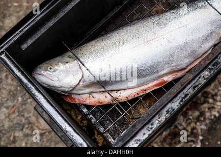 roher Lachs auf Gitter in schwarz camp Rauchen Schuppen Stockfoto