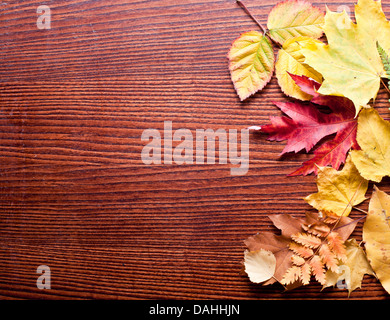 Herbstlaub auf einem Holztisch. Stockfoto