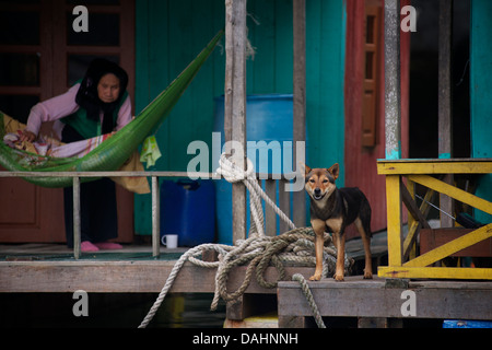 Ältere vietnamesische Frau und Hund auf ihrem schwimmenden Zuhause, Halong Bucht, Vietnam Stockfoto