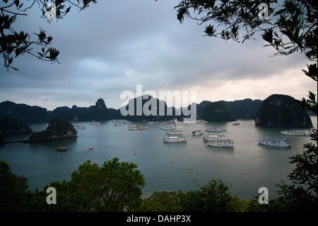 Blick von Dao Titop Insel, Halong Bucht, Vietnam. Ausflugsboote Stockfoto