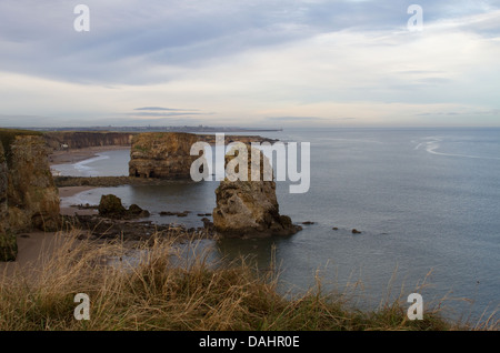 Marsden Rock, South Shields Stockfoto