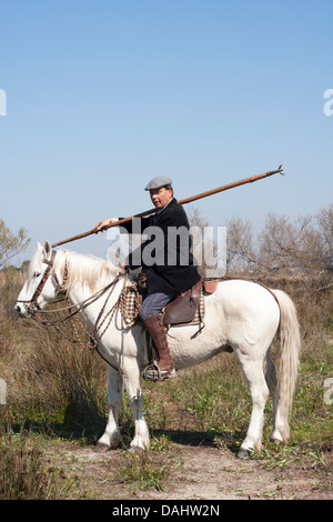 Französischer Mann, Gardian reitend Camargue Pferd tragend Dreizack auf Stange für Hüten Stockfoto