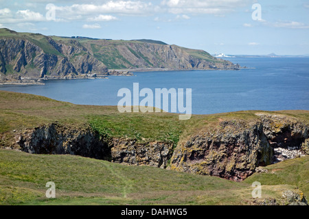 Meeresklippen in St. Abbs Head National Nature Reserve zwischen den Leuchtturm (Süden) & Torness (Nord) in Scottish Borders Stockfoto