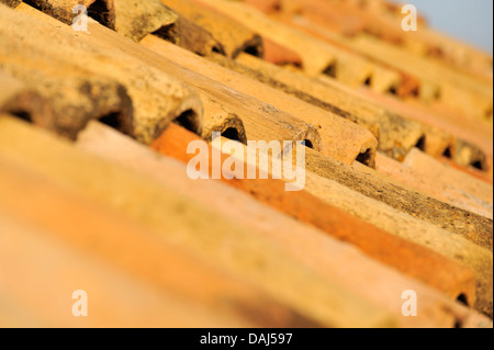 Ziegeldach, Altstadt, Dubrovnik, Kroatien Stockfoto